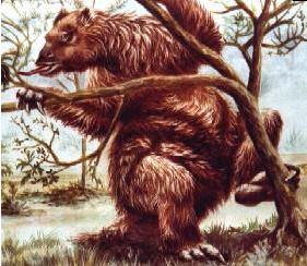 Mapinguari