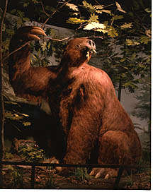 Mapinguari