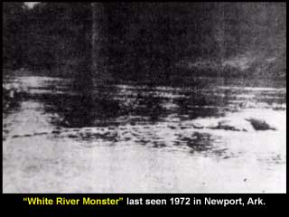 Whitey - potwór z White River, Arkansas