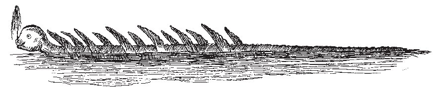 Wielka Morska Stonoga - ilustracja na podst. relacji załogi Princess