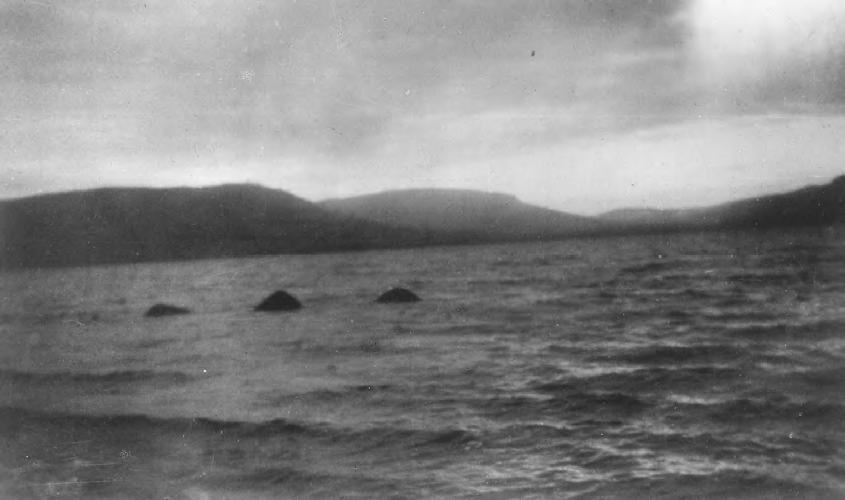 Nessie 14 lipca 1951