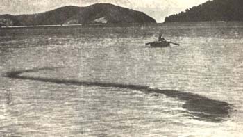 Queenslandzki serpent