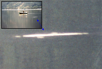 Selma - potwór z jeziora Seljordsvatnet