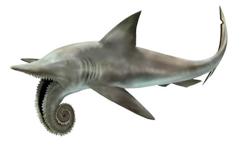 Helicoprion