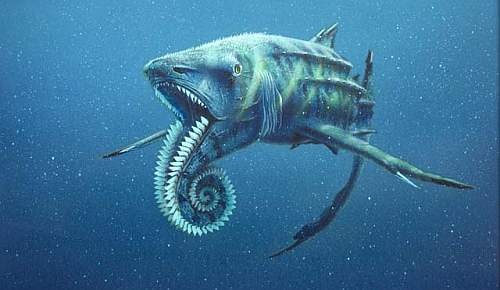 Helicoprion