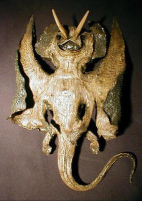 Jenny Haniver