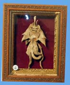 Jenny Haniver