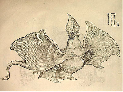 Jenny Haniver