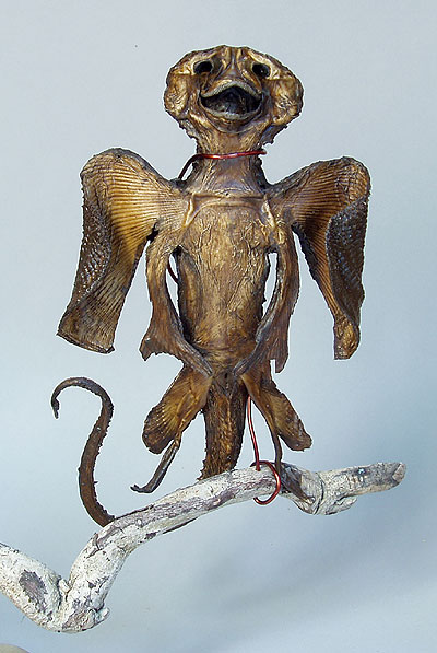 Jenny Haniver