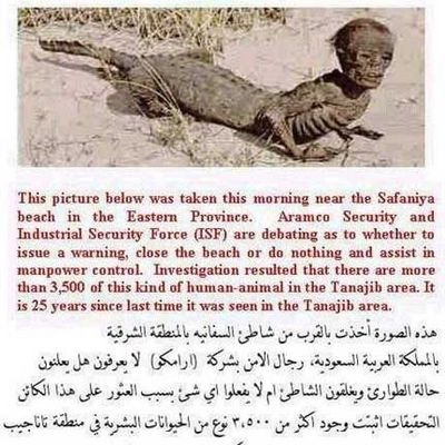 Hybryda (fałszywka: pół-małpa, pół-krokodyl)