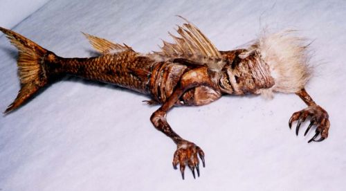 Syrena z Filipin (fałszywka)