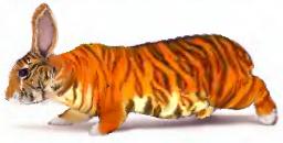 Królikot (fałszywka, ale ładna :) )