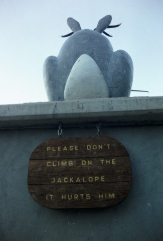 Jackalope