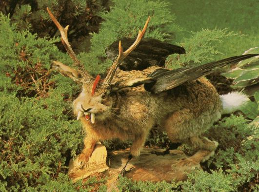 Wolpertinger