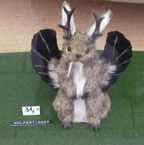 Wolpertinger