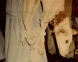 Salaawa (prawdopodobnie tylko pierwotny, zdziczały chart)