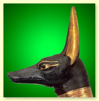 Wizerunkek salaawy (czyli tesemami - staroegipski chart)