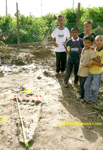 Borneo - 13 czerwca 2008 - ślady Bigfoota