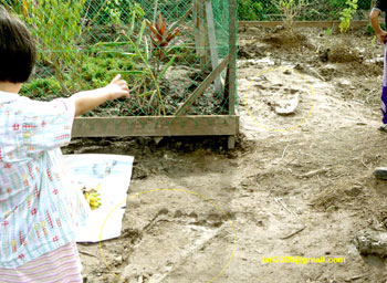 Borneo - 13 czerwca 2008 - ślady Bigfoota