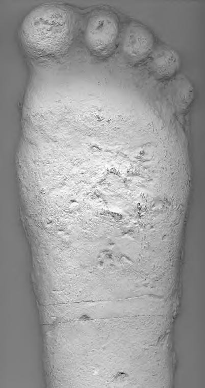 Yeti - odlew stopy wykonany przez Pattersona