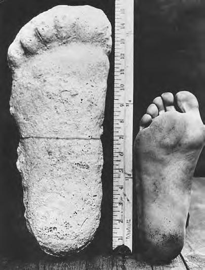 Yeti - porównanie odlewu stopy wykonanego przez Pattersona ze stopą człowieka