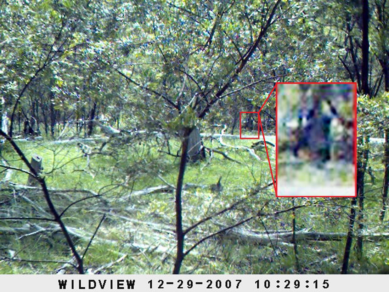 Yowie - zdjęcie wykonane przez Paula Comptona 22 grudnia 2007