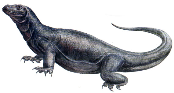 Megalania