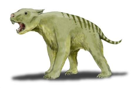 Lew workowaty Thylacoleo carnifex