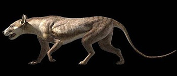 Rekonstrukcja wyglądu amficjonida