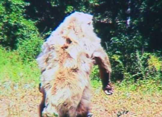 Zdjęcie z jednego z aparatów ustawionych wokół sklepu w Atoka