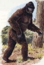 Bigfoot