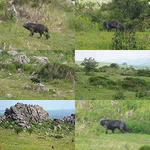 Kliknij aby powiększyć