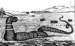 Wąż morski z Gloucester
