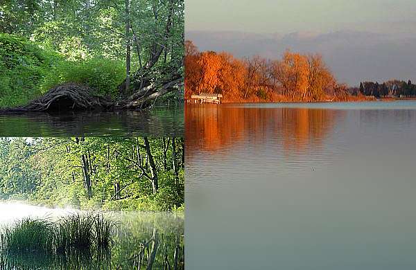 Jezioro Muskrat Lake