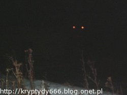 Tajemnicze stworzenie z Pomorza