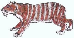 Tygrys szablozębny