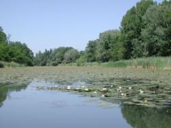 Torfowiska i trzcinowiska na Węgrzech